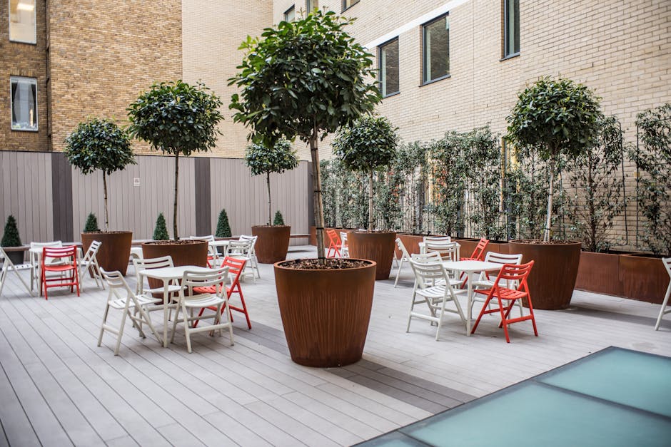A small urban garden courtyard featuring a light-colored wooden deck surface, surrounded by a beige brick building and a gray wooden fence. The space is decorated with large, round, terracotta-colored pots housing neatly trimmed, small to medium-sized trees with dense green foliage. Several clusters of white and red outdoor chairs accompany matching tables, arranged for social gatherings or outdoor dining. The garden beds along the fence are planted with climbing plants and small conifer shrubs, providing greenery and privacy. The environment appears well-maintained, with clean pathways and a tidy arrangement of plants and furniture, reflecting professional gardening and landscaping work by Gardeners Westminster. The lighting suggests daytime, with natural sunlight illuminating the space, highlighting the textures of the foliage, pots, and deck surface.