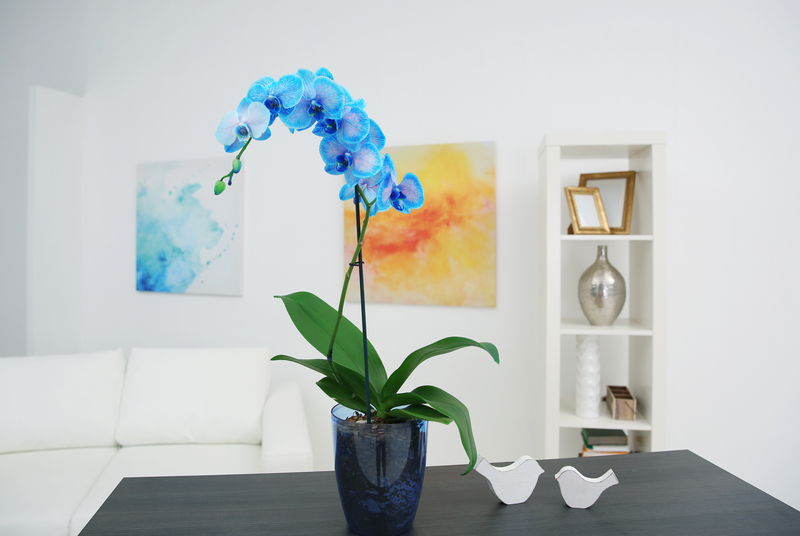 irrigation system garden